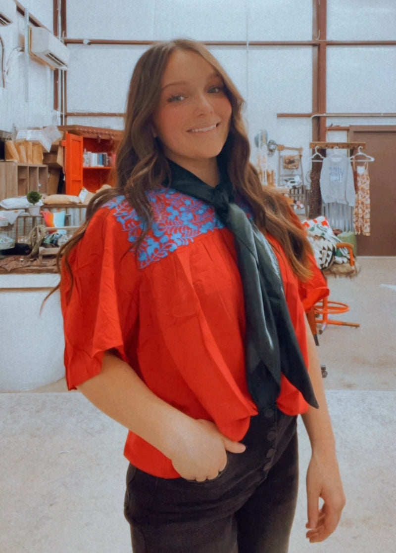 Red and blue embroidered top