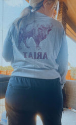 Grey Ariat Buffalo College LONGSLEEVE